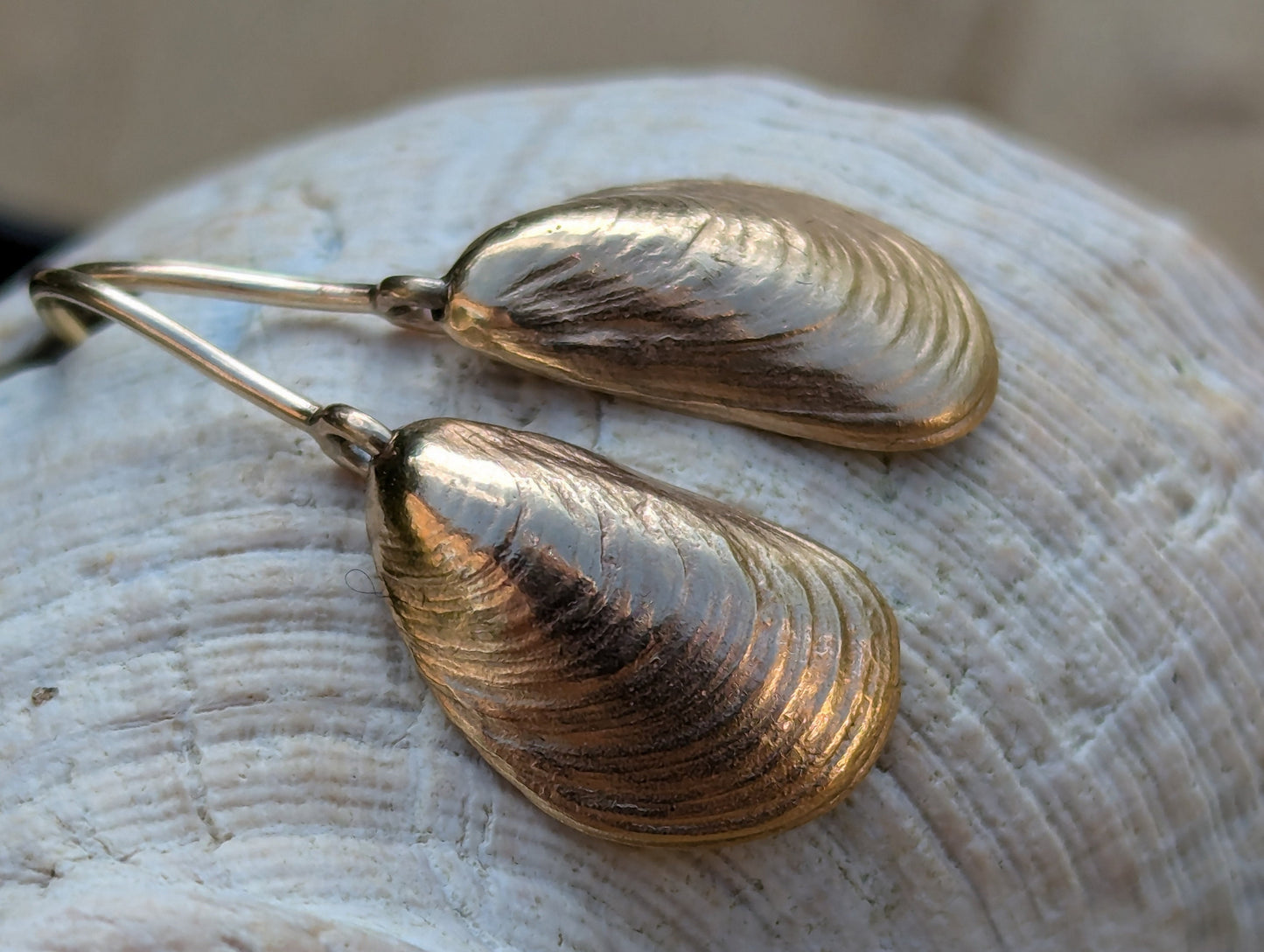 9ct solid gold Mussel Shell drop earrings