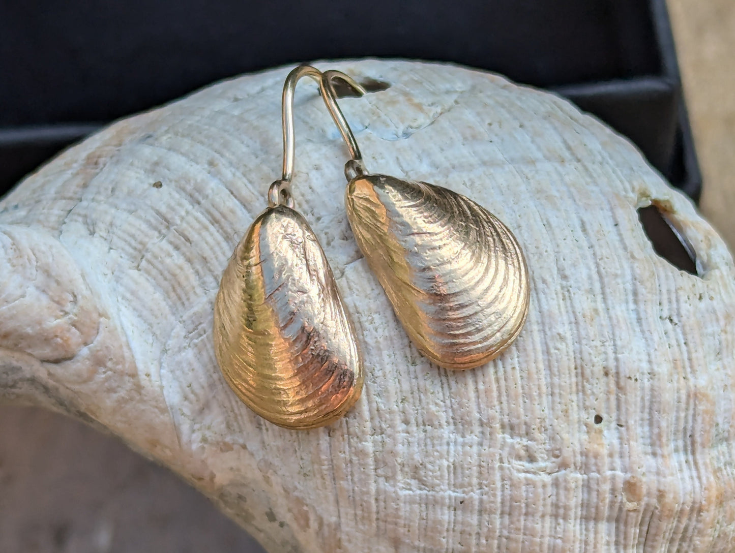 9ct solid gold Mussel Shell drop earrings